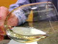 food channel, food network, Food Video, Fashion Video, Recipe Video, Restaurant Video, Wine Video, Chocolate Video and Online Community